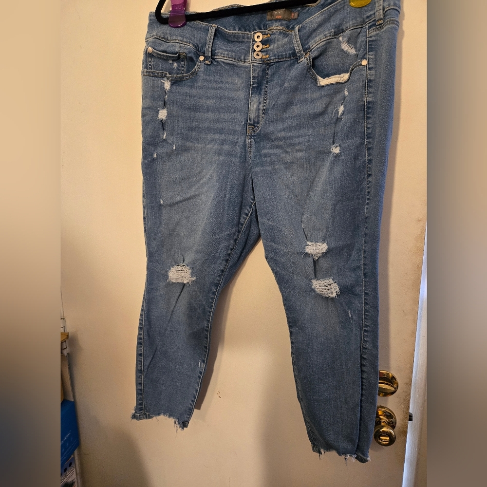 Torrid 3 Button High-Rise Distressed Jegging 24R (c)